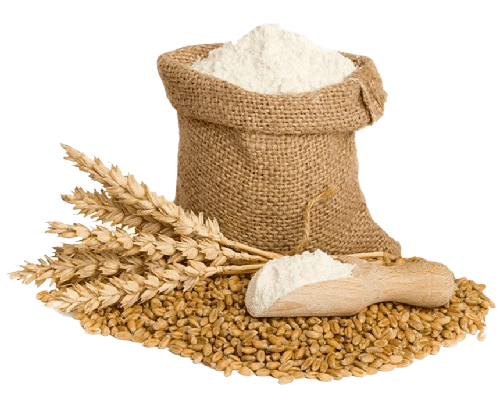 aashirvaad-maida-flour-multigrain-bread-flour-packaging-atta-flour-chapati-cartoon-wheat-roti-wheat-logo-wheat-grains-removebg-preview aashirvaad-maida-flour-multigrain-bread-flour-packaging-atta-flour-chapati-cartoon-wheat-roti-wheat-logo-wheat-grains-removebg-preview